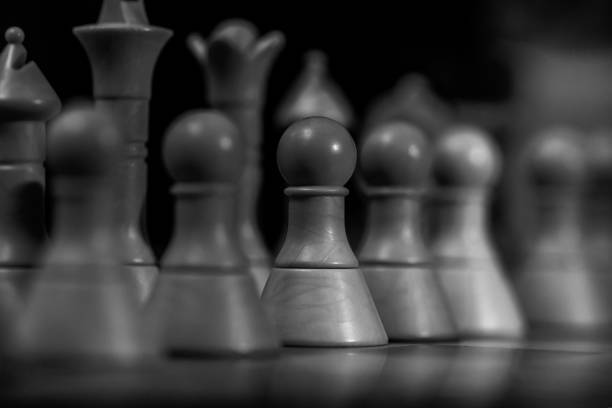 Chess student progress chart – Qatar