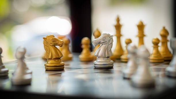 Chess student progress chart – New Zealand