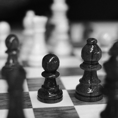 Indian chess federation